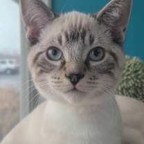 Thumbnail photo of August #4