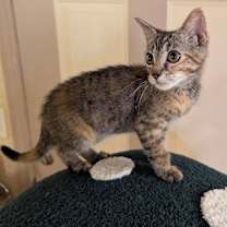 Thumbnail photo of Colette #3