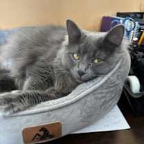 Thumbnail photo of Beverly #4