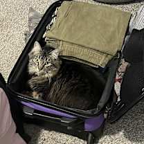 Thumbnail photo of Cheese #4