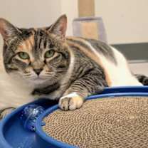 Thumbnail photo of Nina #2