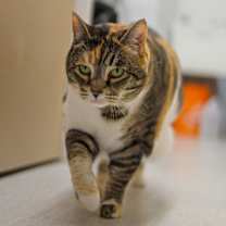 Thumbnail photo of Nina #4