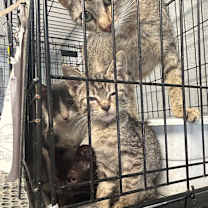 Thumbnail photo of Ella #2