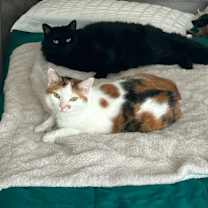 Thumbnail photo of Harry #4