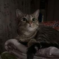 Thumbnail photo of Georgia #1