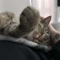 Thumbnail photo of Georgia #3