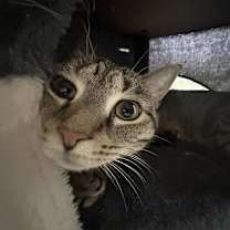 Thumbnail photo of Georgia #4