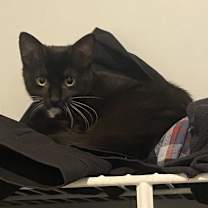 Thumbnail photo of Lucy #4