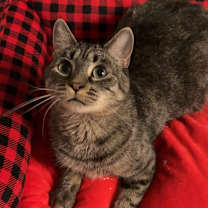 Thumbnail photo of Janis  #1