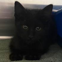 Thumbnail photo of Jayden #2