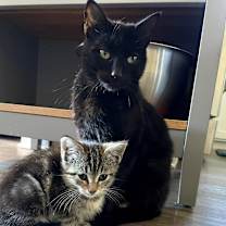 Thumbnail photo of Sydney  #3