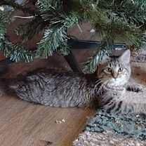 Thumbnail photo of Ellie #4