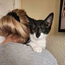 Thumbnail photo of Spruce #2