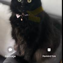 Thumbnail photo of May #2