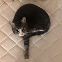 Thumbnail photo of Wilbur #3