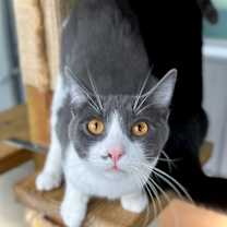 Thumbnail photo of Kiva #1