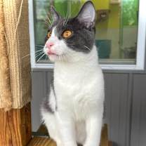 Thumbnail photo of Kiva #2