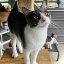 Thumbnail photo of Kiva #3