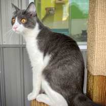 Thumbnail photo of Kiva #4