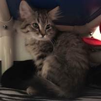 Thumbnail photo of Monica #1