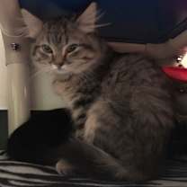 Thumbnail photo of Monica #2