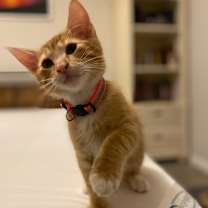 Thumbnail photo of Phillip #2