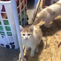 Thumbnail photo of No name #1