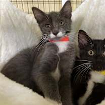 Thumbnail photo of Edward #2