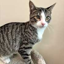 Thumbnail photo of Derrick #3