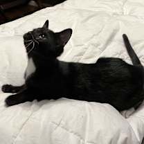 Thumbnail photo of Fiona #2