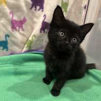 Thumbnail photo of Matilda #2