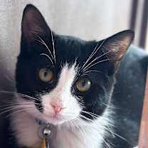 Thumbnail photo of Gym #2