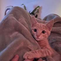 Thumbnail photo of Monterey Jane #1