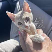 Thumbnail photo of Monterey Jane #2