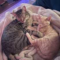 Thumbnail photo of Monterey Jane #3