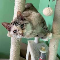 Thumbnail photo of Jewel #1