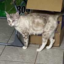 Thumbnail photo of Jewel #3