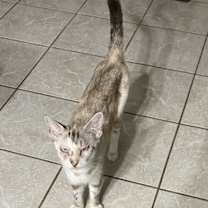 Thumbnail photo of Jewel #4