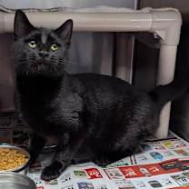 Thumbnail photo of Woody #1