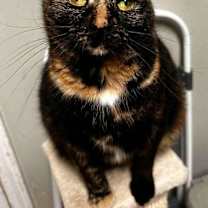 Thumbnail photo of Nadya #4