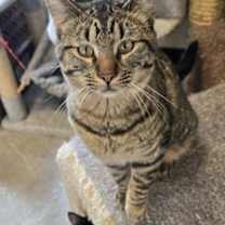 Thumbnail photo of Bonnie #3