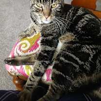 Thumbnail photo of Cairo #3