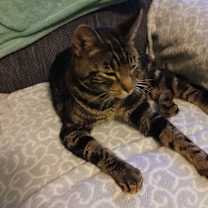 Thumbnail photo of Cairo #4