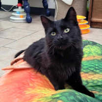 Thumbnail photo of Wednesday #1