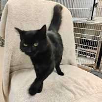 Thumbnail photo of Wednesday #2