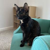 Thumbnail photo of Genre #1