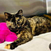 Thumbnail photo of Ella #1