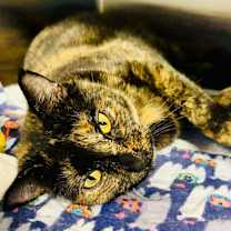 Thumbnail photo of Ella #2