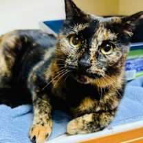 Thumbnail photo of Ella #3