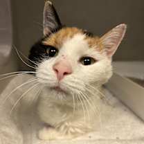 Thumbnail photo of Ethel #4